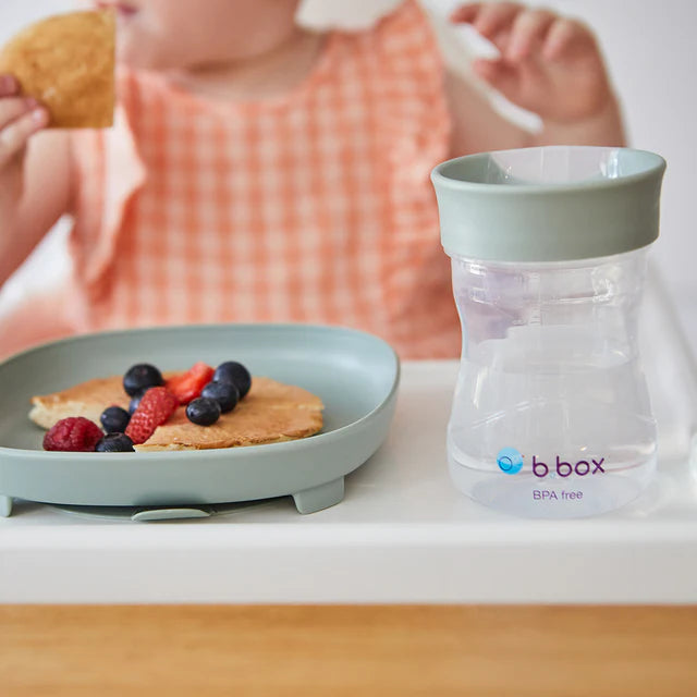 Transition Value Pack - Sage