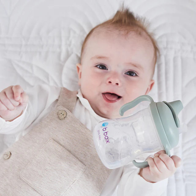 Transition Value Pack - Sage