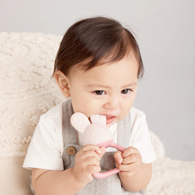 Chill & Fill Teether - Blush