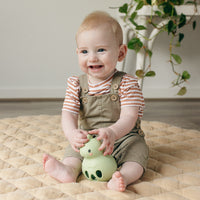 Silicone Rattle Dino