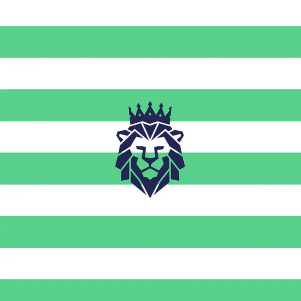 Boys Green Stripe Rubgy Tee