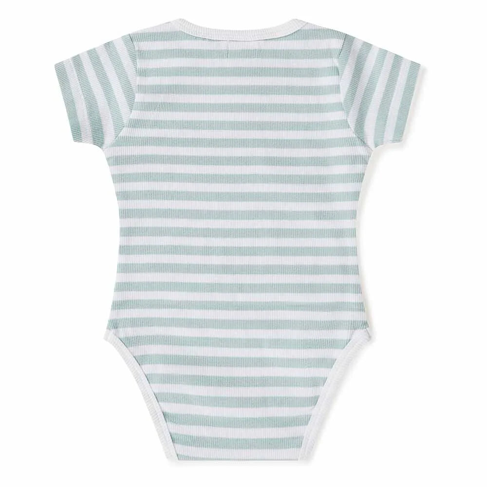 Baby Boys Short Sleeve Sage Bodysuit