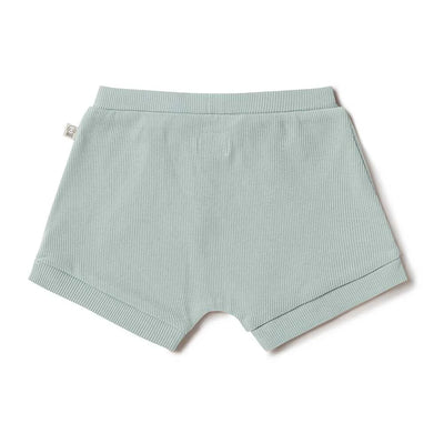 Baby Boys Organic Shorts Sage