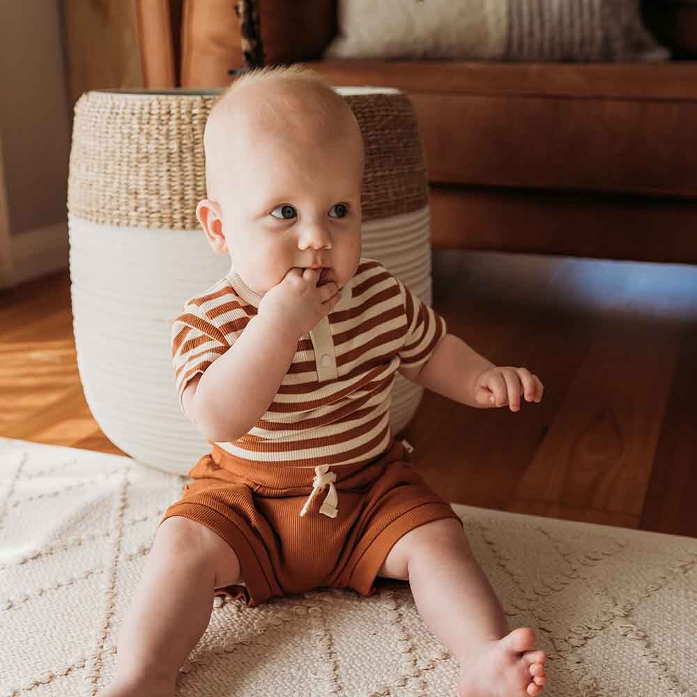 Baby Boys Short Sleeve Biscuit Stripe Bodysuit