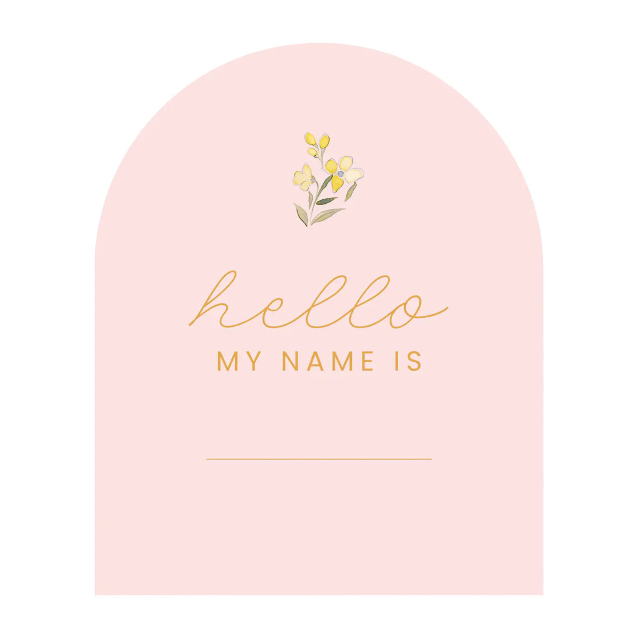 Fleur + Bloom Pink Reversible Baby Milstone Cards