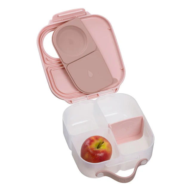 Mini Lunchbox - Blush Crush