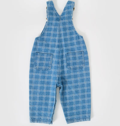 Boys Austin Denim Check Overalls