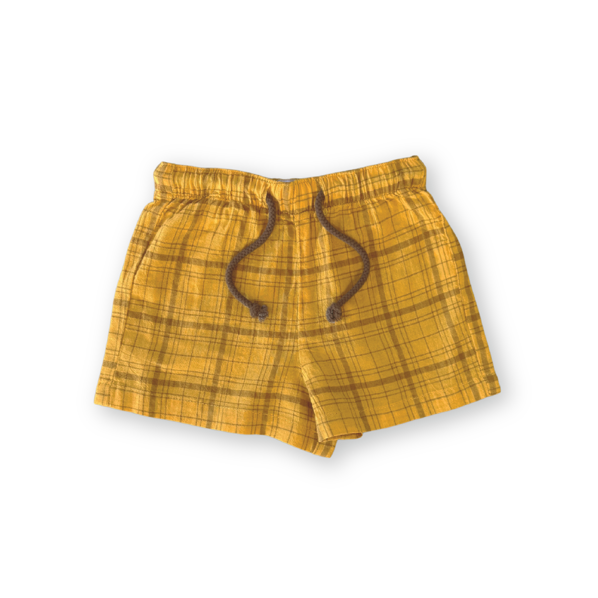 Plaid Shorts