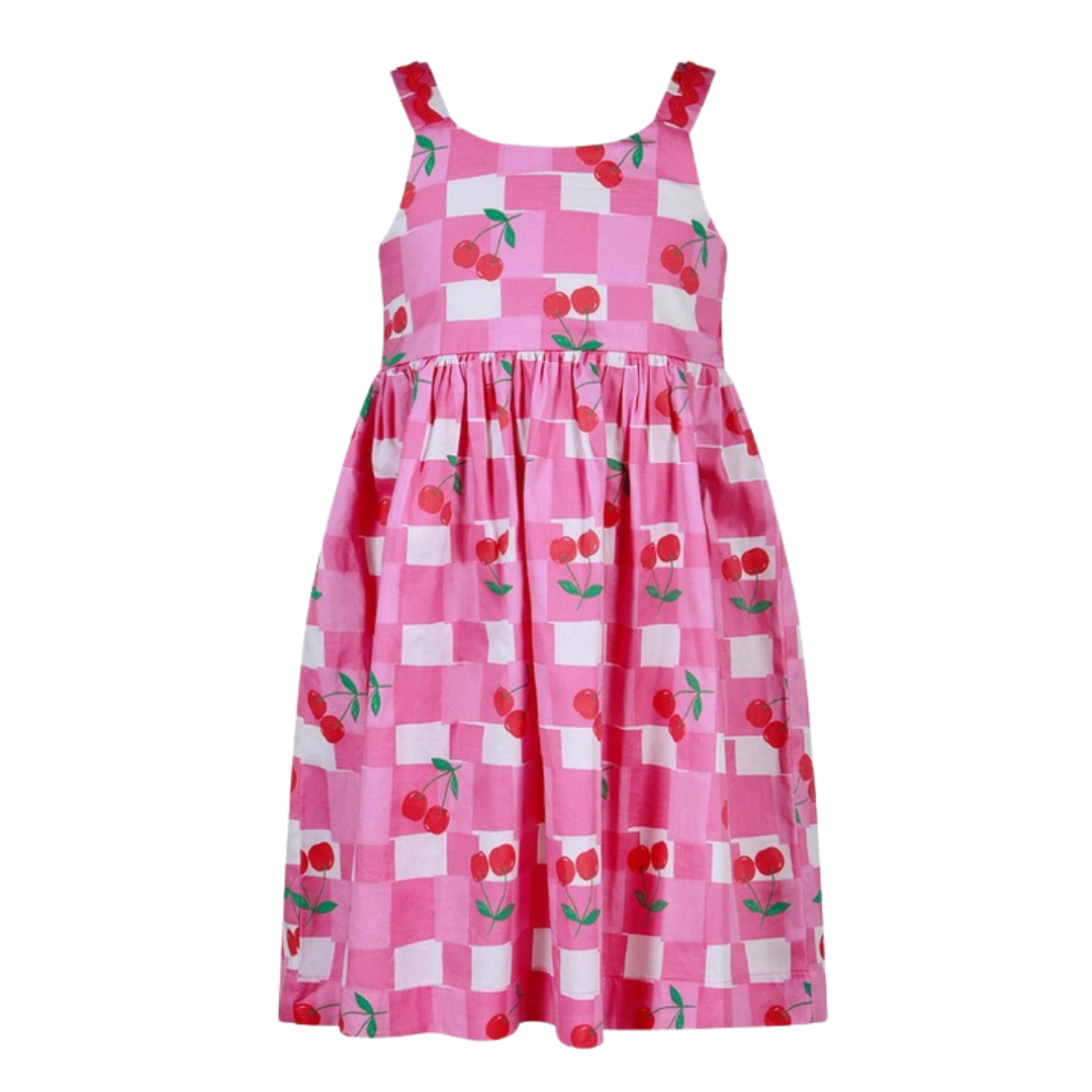 Girls Gingham Picnic Woven Dress