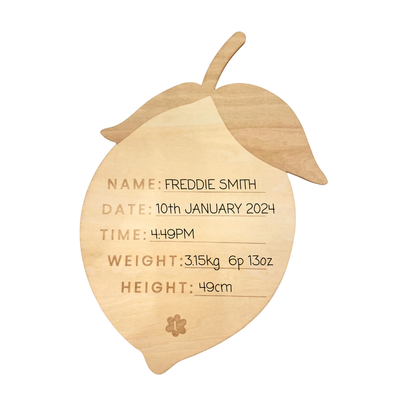 Hello I'm New Here  reversible Lemon  Announcement Plaque