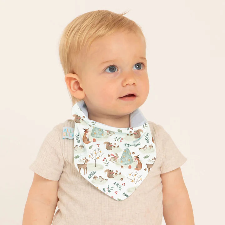 Bandana Bibs 2pk Christmas