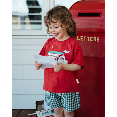 Boys Festive Gingham Shorts