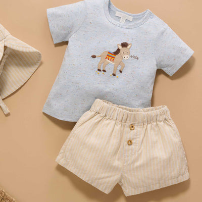 Baby Boys Donkey Tee and Short Set