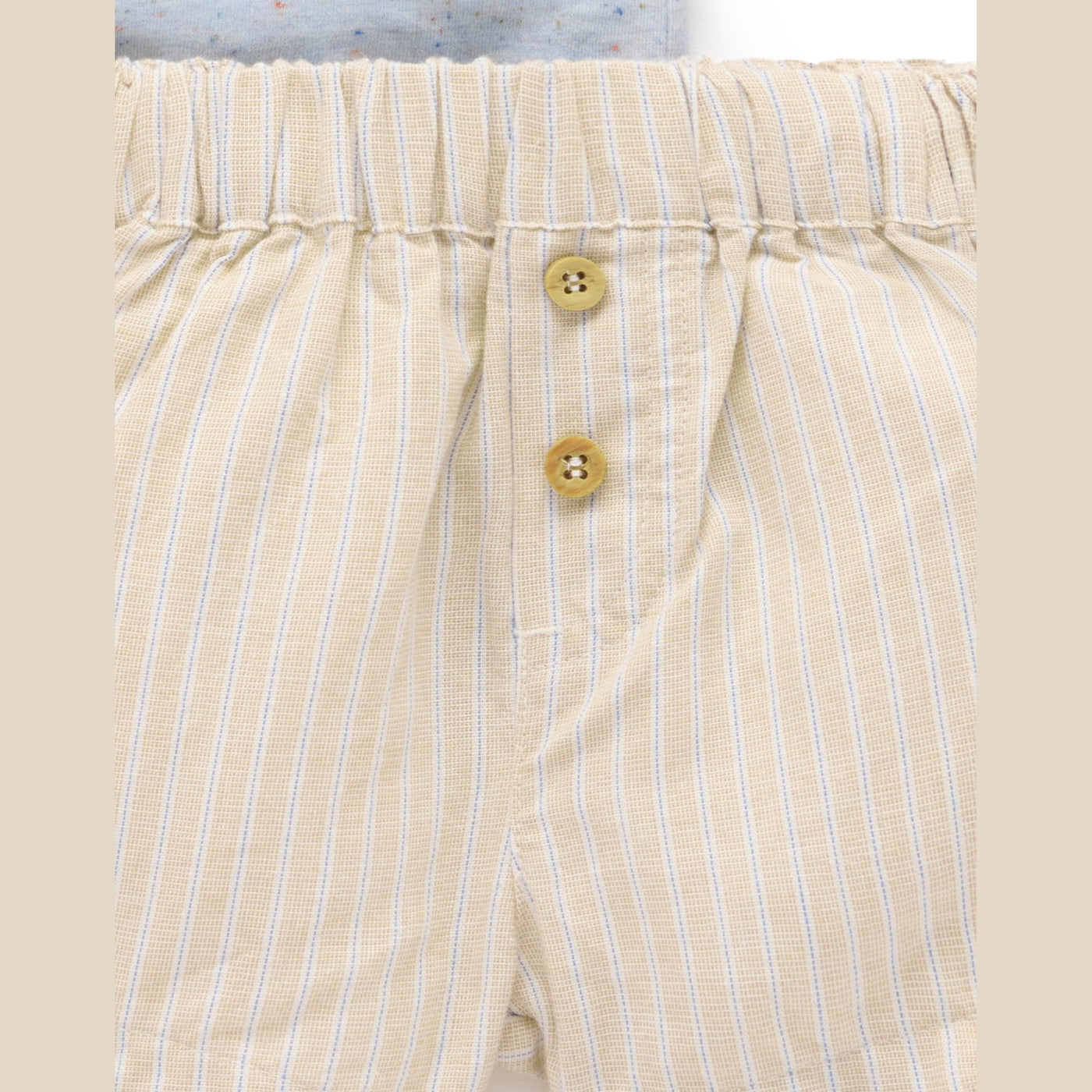 Baby Boys Donkey Tee and Short Set