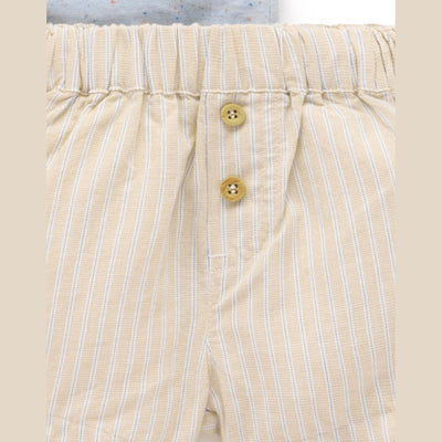 Baby Boys Donkey Tee and Short Set