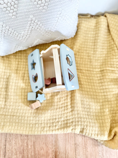 House Shape Sorter 8 Blocks