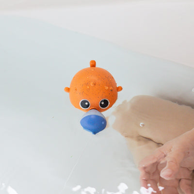 Catch & Splash Fishing Game