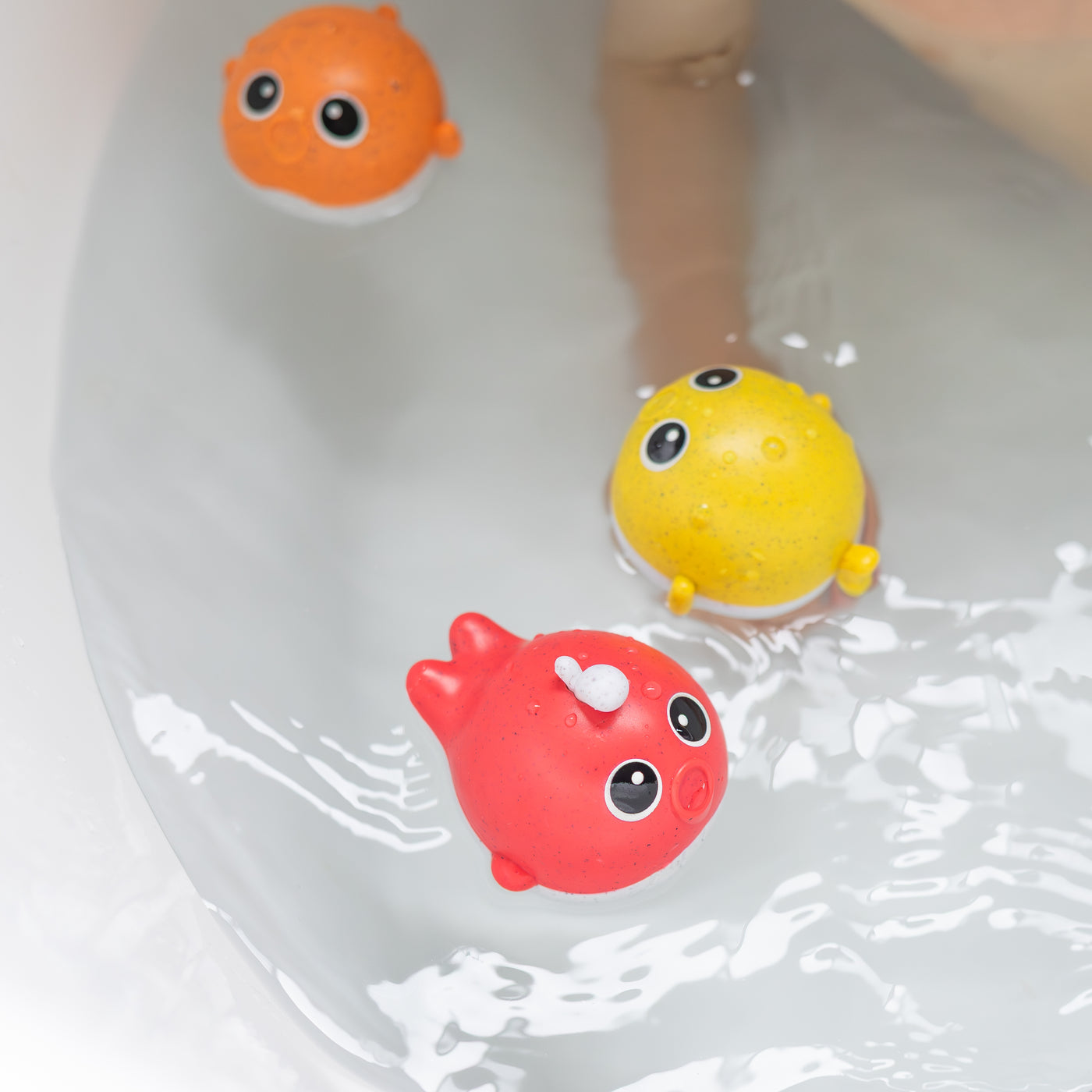 Catch & Splash Fishing Game