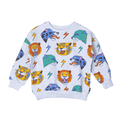 Boys Ekectric Sweatshirt