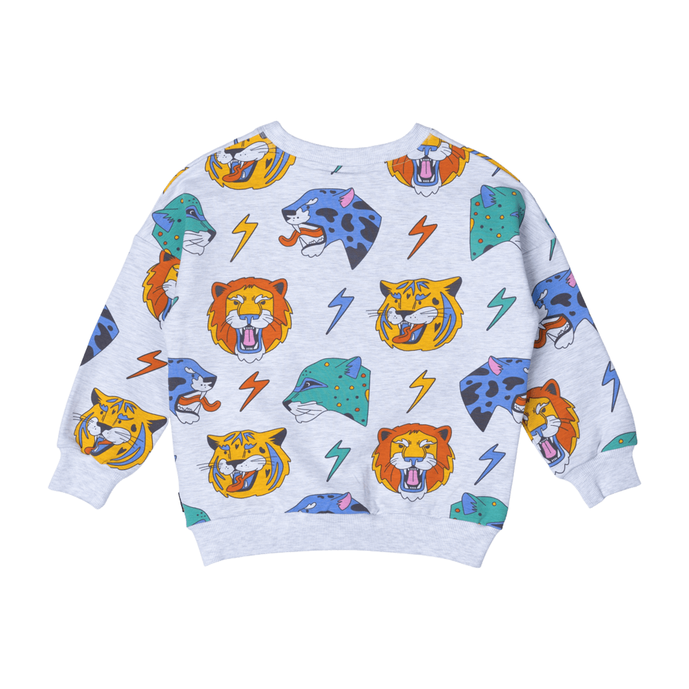 Boys Ekectric Sweatshirt