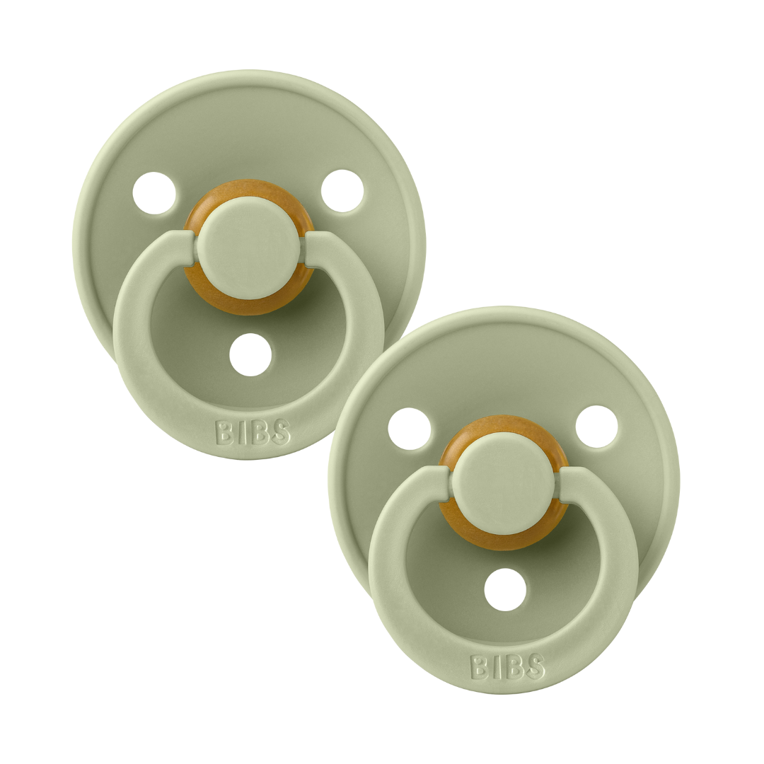 Bibs Dummies Round 2pk Sage