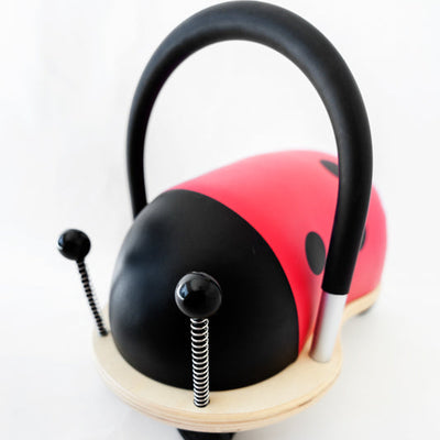 Small ladybug Wheely Bug