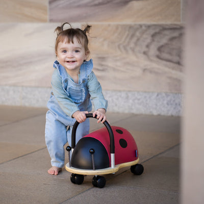 Small ladybug Wheely Bug