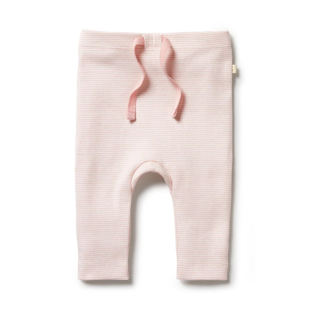 Baby Girls Rib Legging Stripe Cantaloupe
