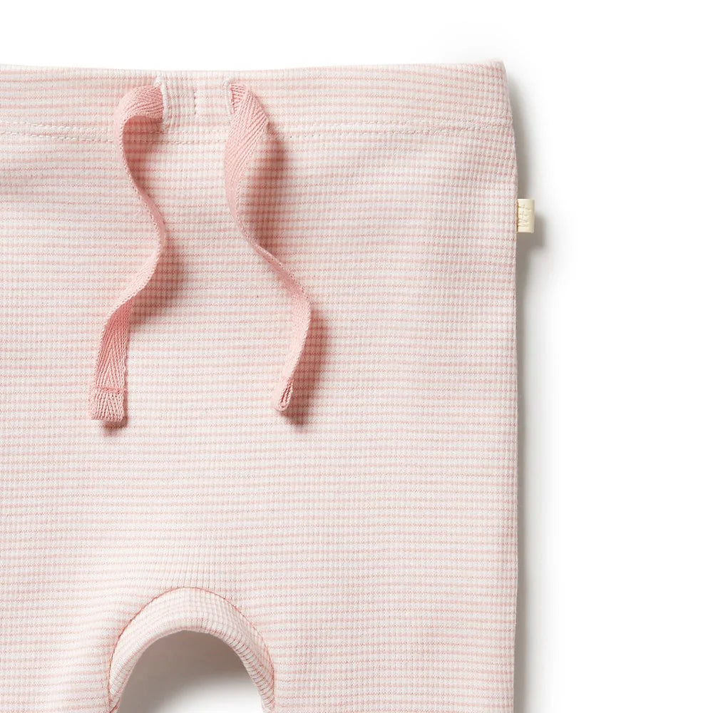Baby Girls Rib Legging Stripe Cantaloupe