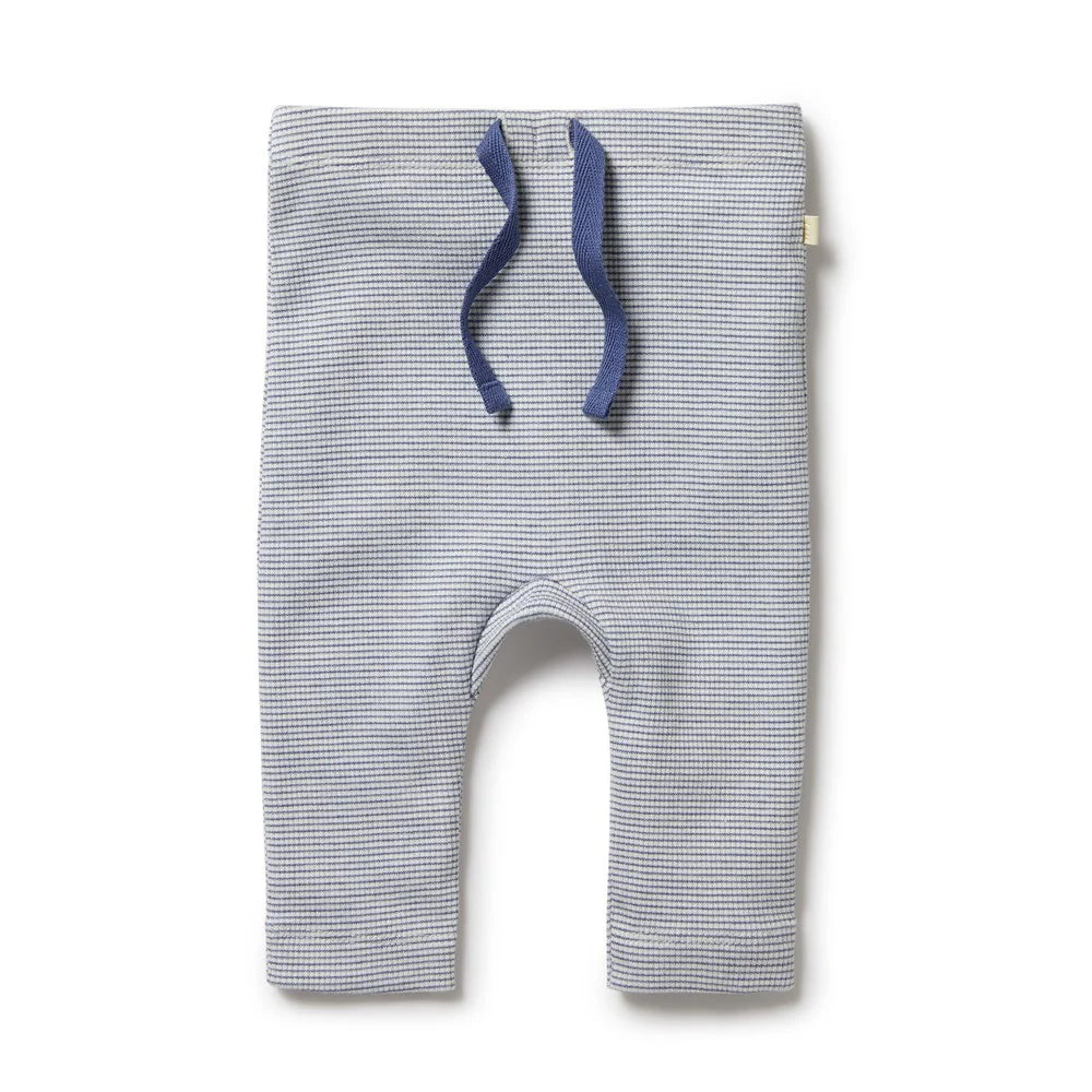 Baby Boys Rib Legging Stripe Rain Drop