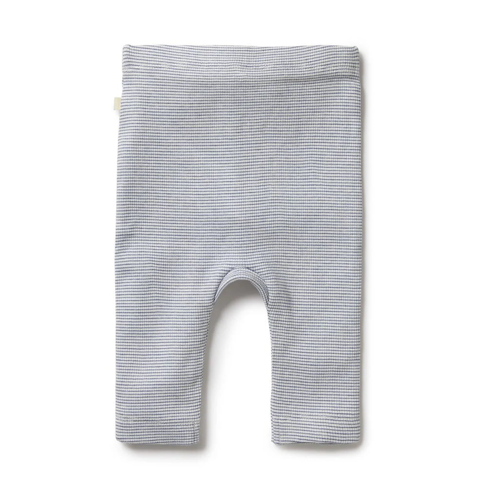 Baby Boys Rib Legging Stripe Rain Drop