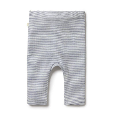 Baby Boys Rib Legging Stripe Rain Drop