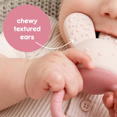 Chill & Fill Teether - Blush