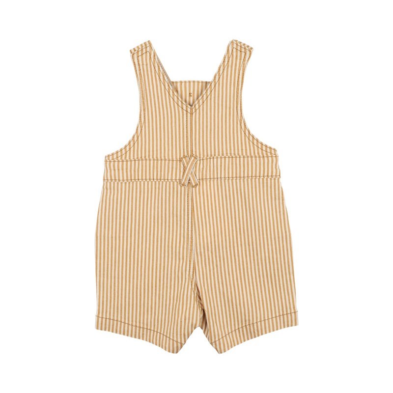 Baby Boys Striped Overalls