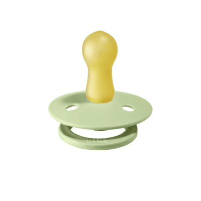 Bibs Dummies Round 2pk Pistachio