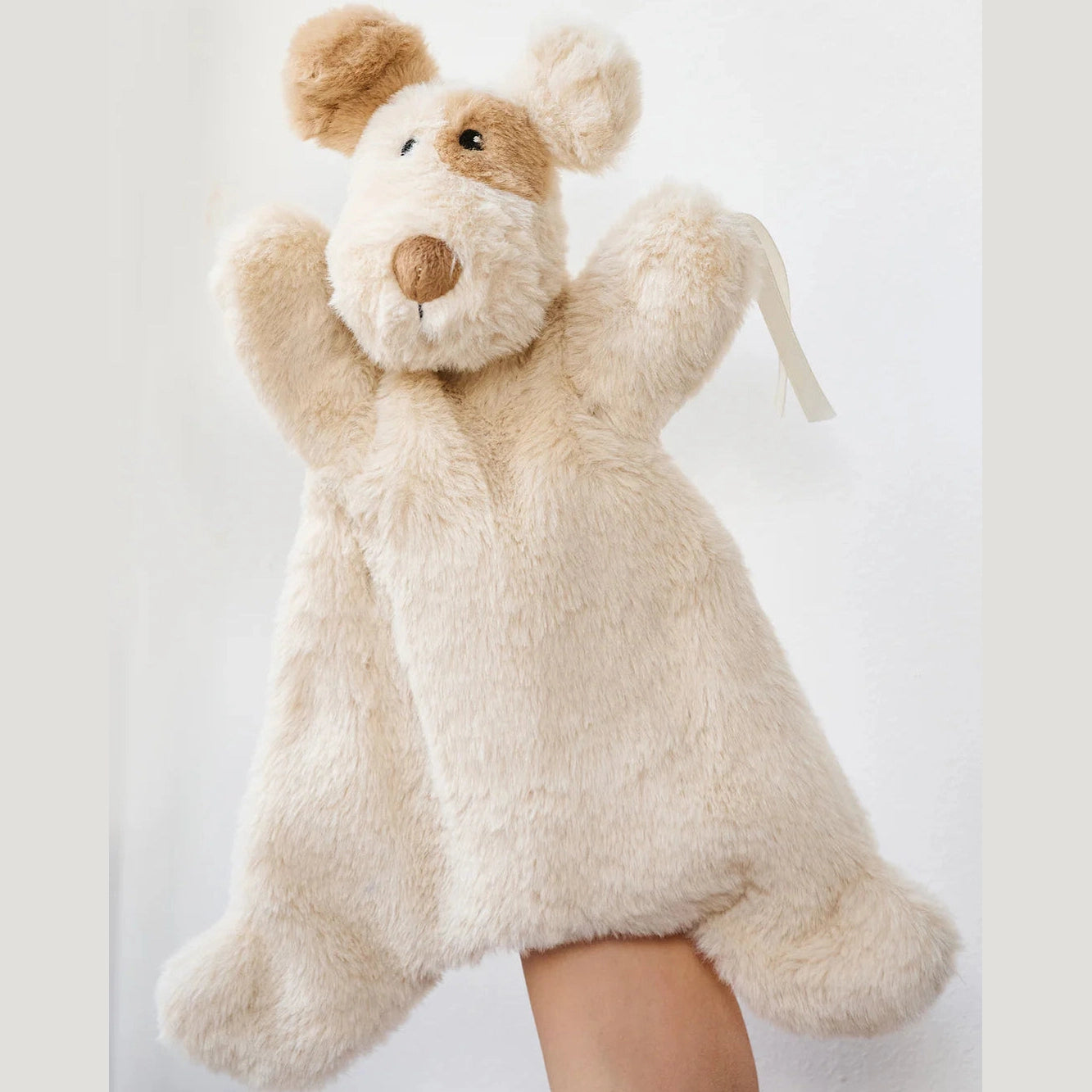 Buddy The Dog Hoochy Coochie