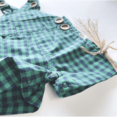 Baby Boys Roy Dungaree - Green Navy Check