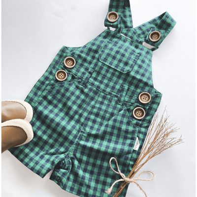 Baby Boys Roy Dungaree - Green Navy Check