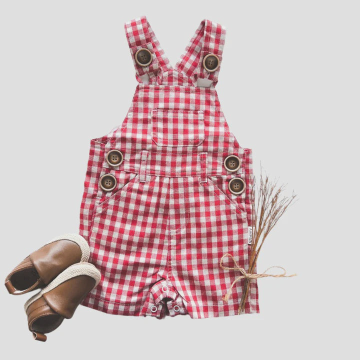 Baby Boys Roy Dunagree - Red Check
