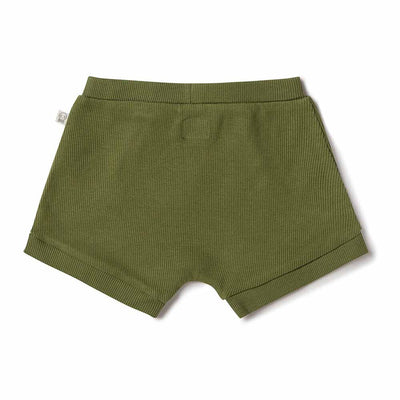 Baby Boys Organic Shorts Olive