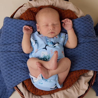 Baby Boys Short Sleeve Ocean Blue Bodysuit