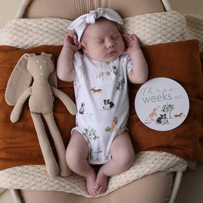 Baby Boys Short Sleeve Bodysuit Dog Park